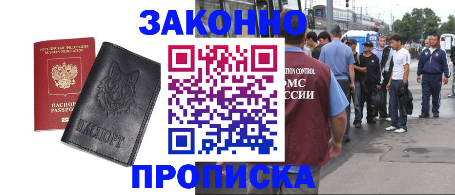 прописка поиск в Гаджиево